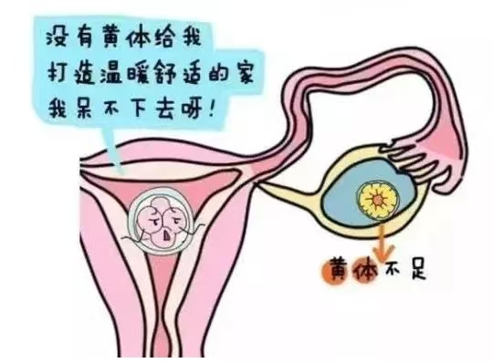 黄体不足.jpg