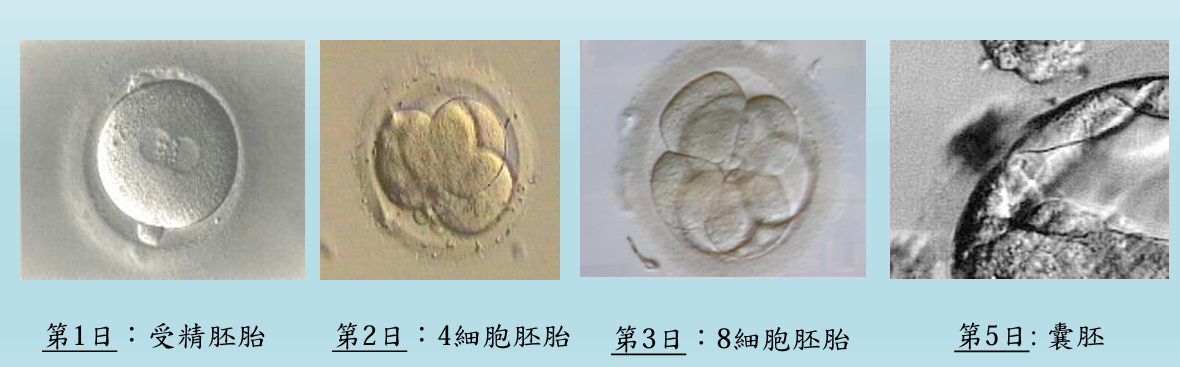 图片_20250709105123.png
